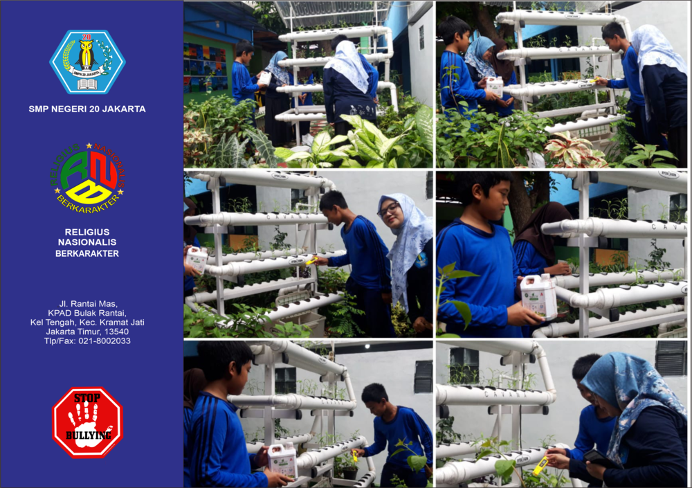 Peserta Didik SMPN 20 Jakarta Ikuti Kegiatan Perawatan Hidroponik dan Nutrisi dengan Panduan Guru 